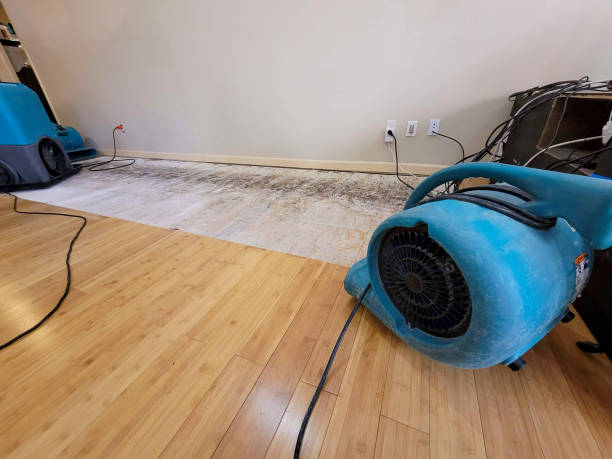 Professional Water Damage Repair technician working in Chimacum, WA
